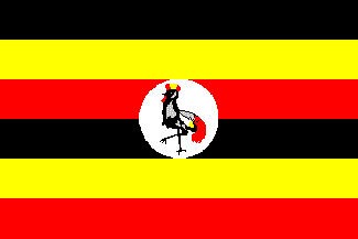 flag UGA